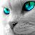 Debbie Stoddard's profile image