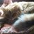 Michelle Massaro's profile image