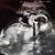 Kimberly McVey's profile image