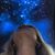 Diana Osorio's profile image