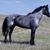 Adam Trudell's profile image