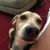 Rhonda Pickering's profile image