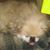 Patricia C Coddington's profile image