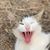 Jimmy N Jean Snider's profile image