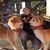Sanish Mondkar's profile image