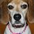 Karen Cecil's profile image