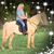 Lisa Cotter's profile image