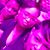 Nicole C. Kennedy's profile image
