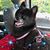 Pam Prevette's profile image