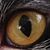 John Young's profile image