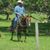 Shelley Steed's profile image