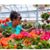 Patty Smith-Swartz's profile image