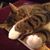 Rene Fletcher's profile image