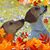 Ilene Arbetter's profile image