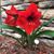 Diane Bruss's profile image