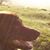 Cindy Kauthen's profile image
