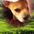 Barbara E Neff's profile image