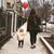 Jessi Odenbach's profile image
