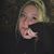 Haley Passmore's profile image