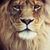 Ziggy Tavio's profile image