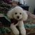 Teresita De Jesus's profile image