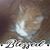 Adele Wills's profile image