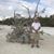 Cathy Keene Klotz's profile image