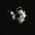 Jodi Cecere's profile image