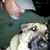 Danny Smoot's profile image