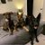 Allyson Shewell's profile image