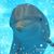 Sue Burda's profile image