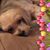 Yvonne White's profile image