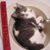 Sally Smith's profile image