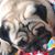 Catherine Ann's profile image