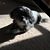 Joy Kukulis's profile image