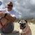 Jeff Harris's profile image