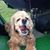 Linda Hagen's profile image
