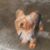 Bobbie Walter Walter's profile image