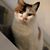 Melanie Kelly's profile image