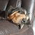 Mary Garcia's profile image