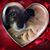 Debbie Gonyer Lindahl's profile image