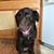 Sandy McMillen Zwick's profile image