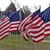Tracy Poindexter's profile image