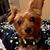 Jeannie Nodine's profile image