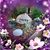 Shirley Patey's profile image