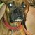 Katie Meyers's profile image