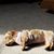 Dawn Barth's profile image