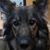 Lisa Jusinski Westbrook's profile image