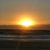Dawn Fasano's profile image