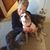 Saundra Meanor's profile image